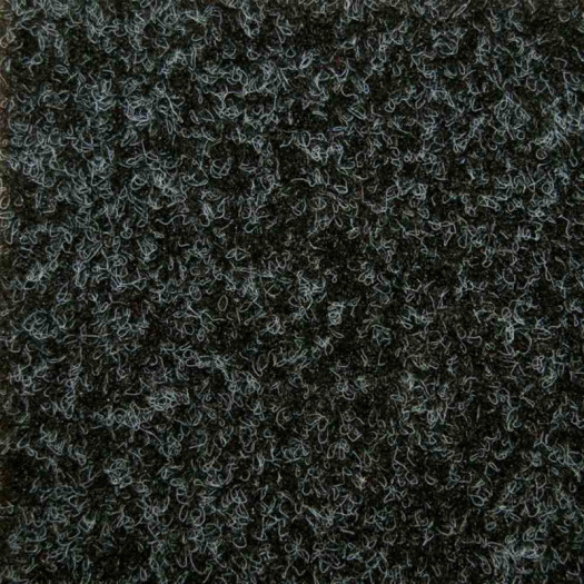 Zoom 1 81458