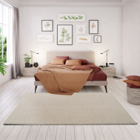 Ambiance 1 84258