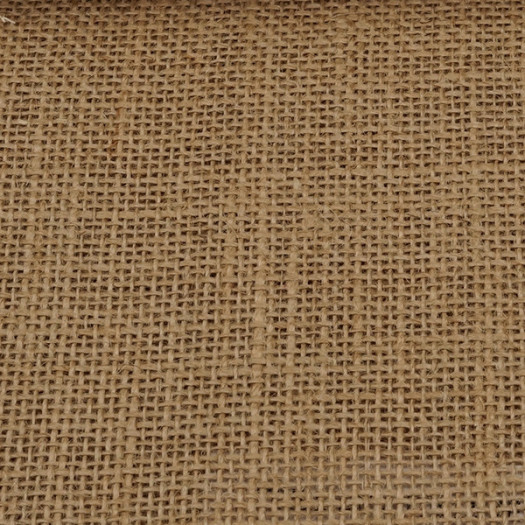 Zoom 1 38754