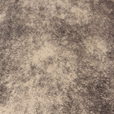 Zoom 1 61335
