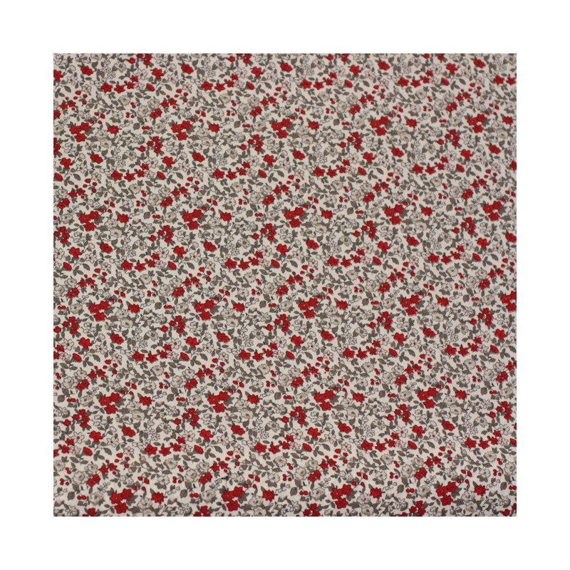 Zoom 1 67459