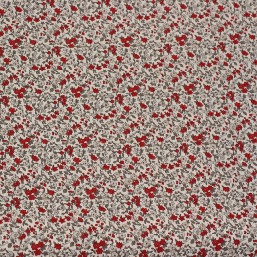 Zoom 1 67459