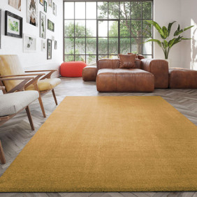 Ambiance 1 72550