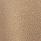 Zoom 1 74448