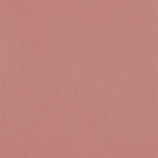 Zoom 1 76442