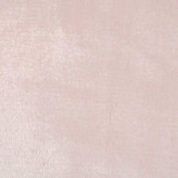Zoom 2 78641