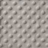 Zoom 1 78747