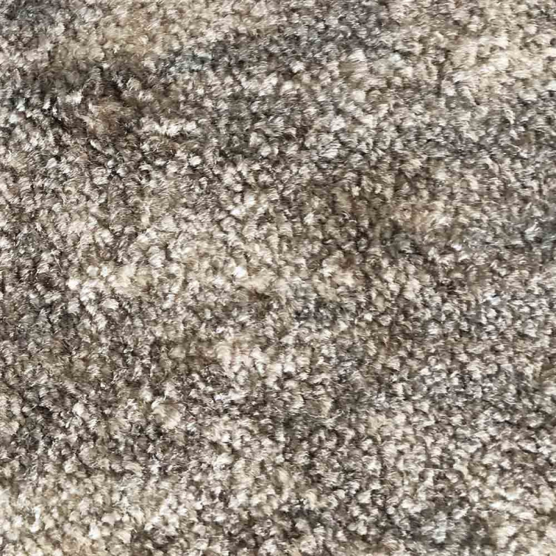 Zoom 1 81389