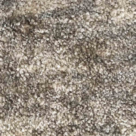 Zoom 1 81389