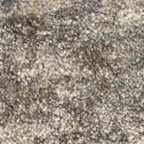 Zoom 1 81389