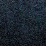 Zoom 1 81461
