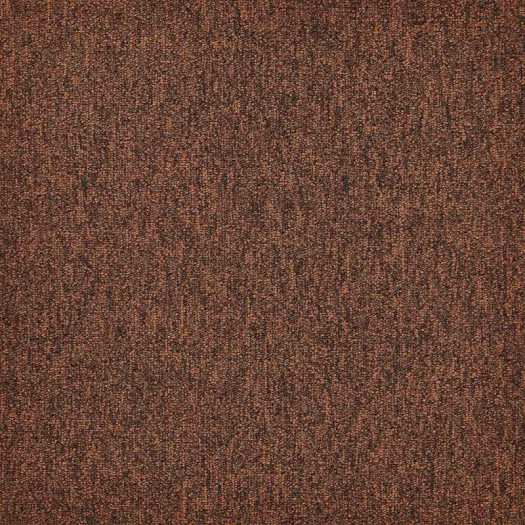 Zoom 1 81665