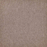 Zoom 1 81672