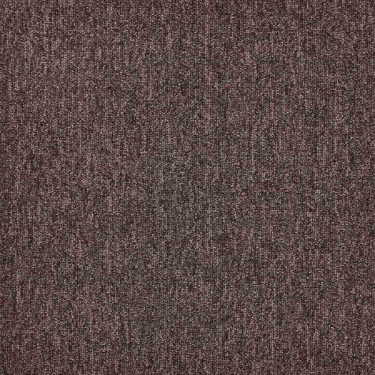 Zoom 1 81692