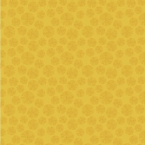 Zoom 1 82598