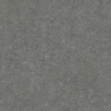 Zoom 1 82985
