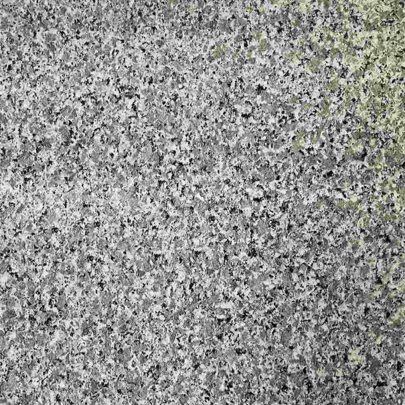 Zoom 2 83498
