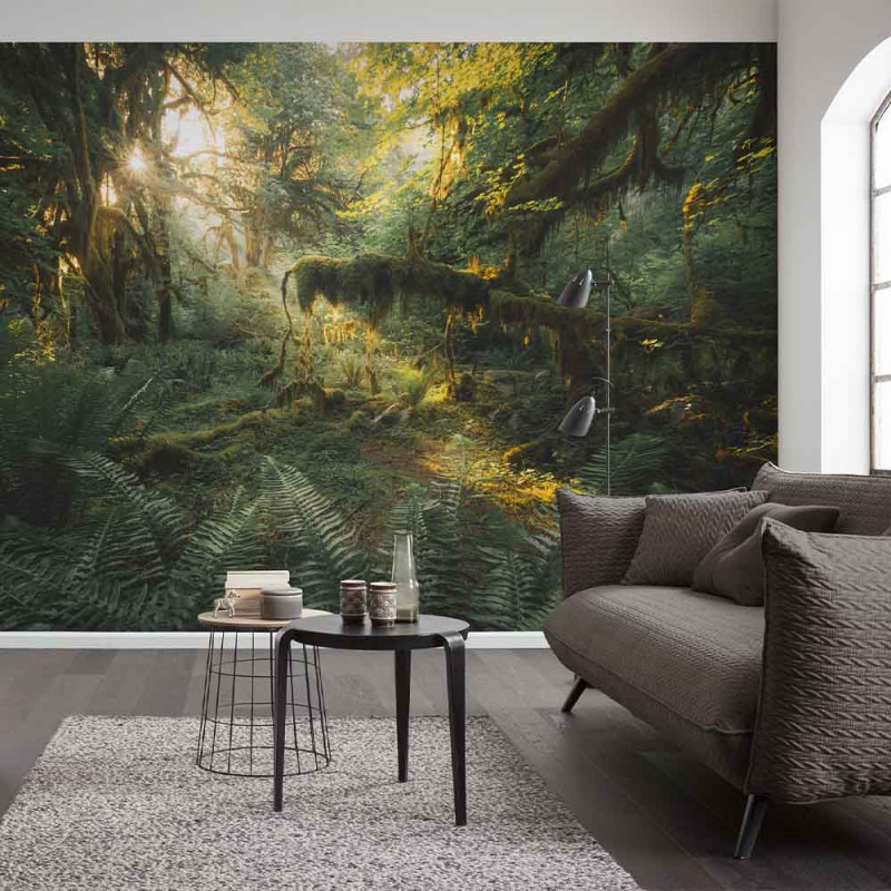Ambiance 1 84863