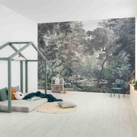 Ambiance 1 84962