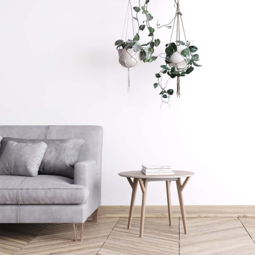 Ambiance 2 84550