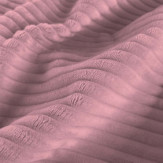 Zoom 1 85659