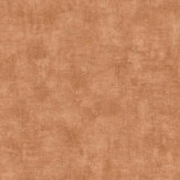 Zoom 1 86558