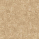 Zoom 1 86560