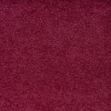 Zoom 1 88505