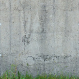 Zoom 1 88939