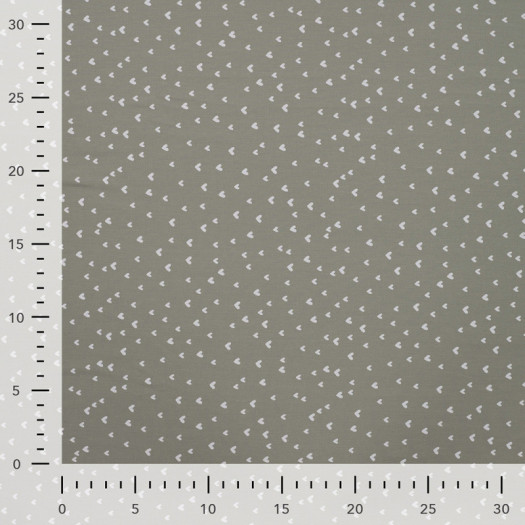 Zoom 2 89364