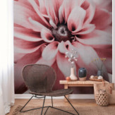 Ambiance 1 89546