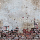 Zoom 1 89567