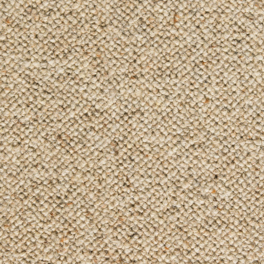 Zoom 1 89594