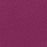 Zoom 1 81817