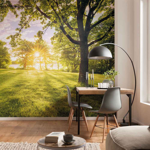 Ambiance 2 84861