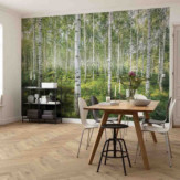 Ambiance 1 85056