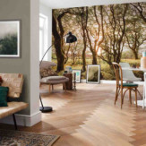 Ambiance 1 85926
