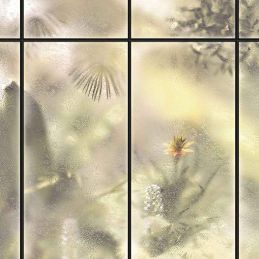 Zoom 1 85932