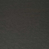 Zoom 2 82435