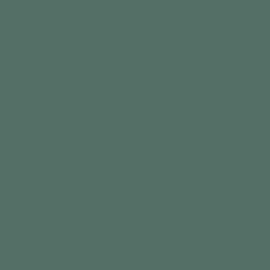 Zoom 2 82445