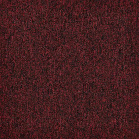 Zoom 1 81668