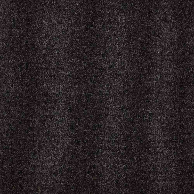 Zoom 1 81679