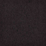 Zoom 1 81679