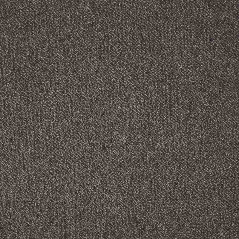 Zoom 1 81386