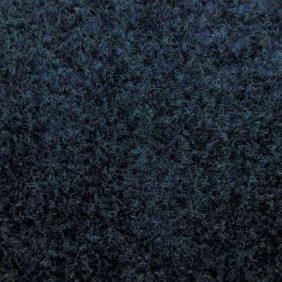 Zoom 1 81461