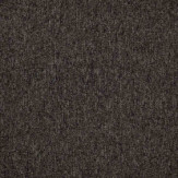 Zoom 1 81684