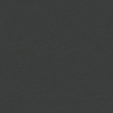 Zoom 1 78800
