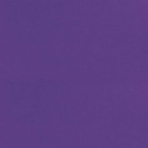 Zoom 1 81326