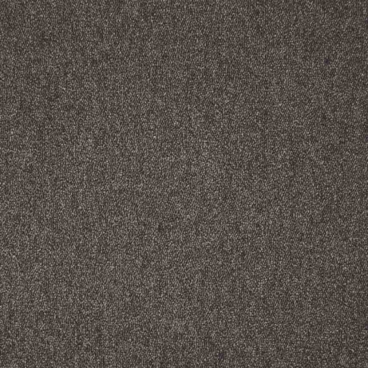 Zoom 1 81387