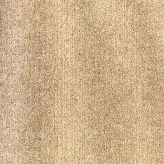 Zoom 1 81446